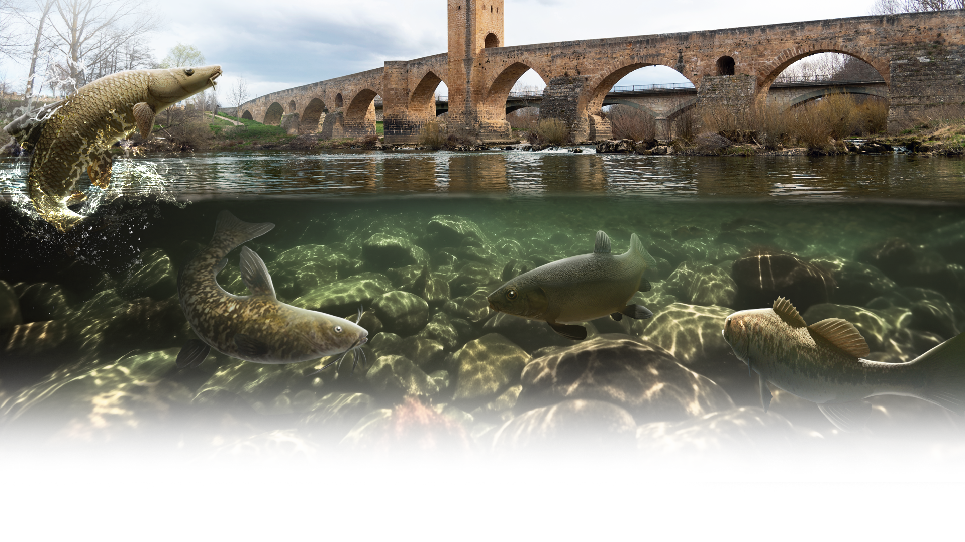 Ebro River