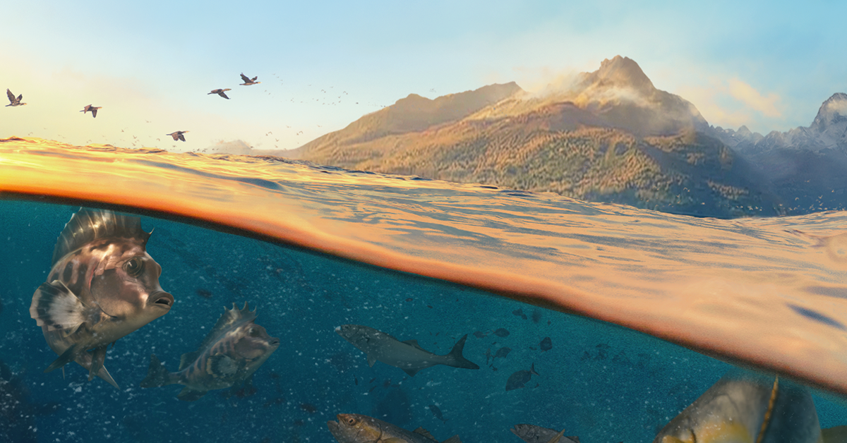 Tierra del Fuego – Fishing Clash