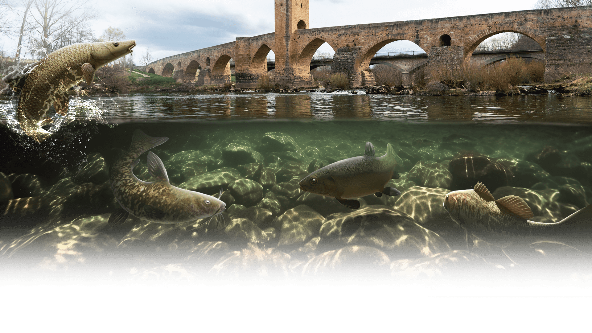 Odkryj rzekę Ebro w Fishing Clash!