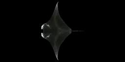 MANTA RAY