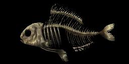 FISHBONE