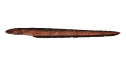 PREHISTORIC SPECKLED LONGFIN EEL