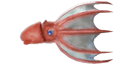 VAMPIRE SQUID