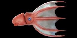 VAMPIRE SQUID