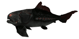 MIGHTY DUNKLEOSTEUS