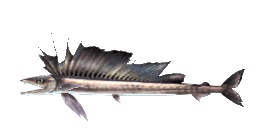 LONG SNOUTED LANCETFISH