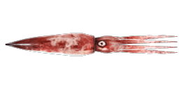 GIANT SQUID