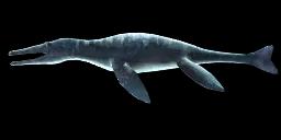 LIOPLEURODON