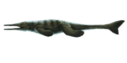 METRIORHYNCHUS