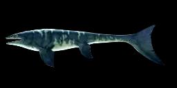 MONSTROUS MOSASAURUS