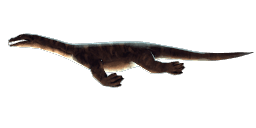 NOTHOSAURUS