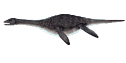 PLESIOSAURUS