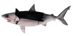 SHARKULA