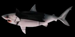 SHARKULA