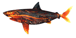 VOLCANIC GREAT WHITE SHARK