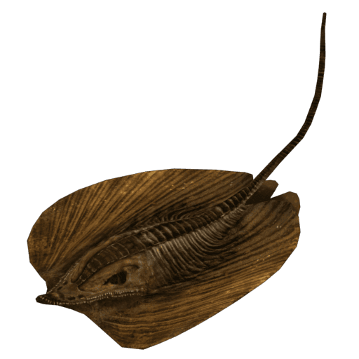 PREHISTORIC GIANT STINGRAY