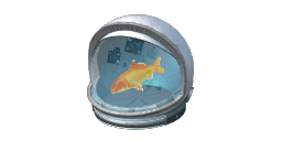 ASTRO FISH