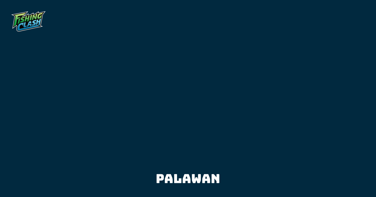 Palawan fishing clash