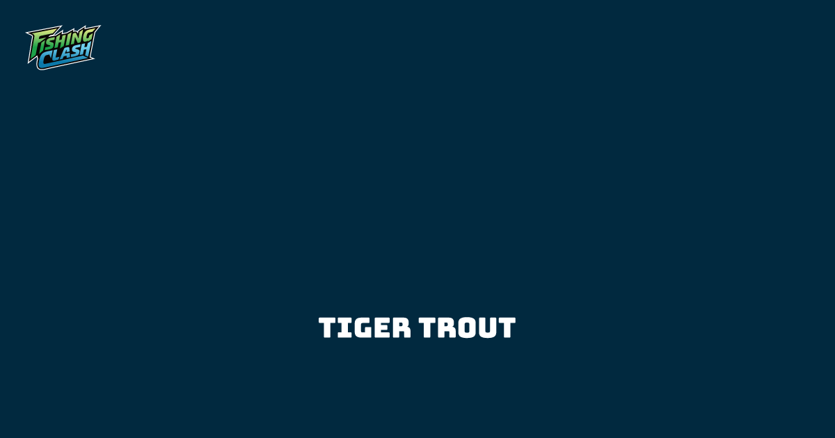 Tiger trout | Fishing Clash